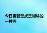 今日更新壁虎是蜥蜴的一种吗