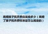 离婚孩子抚养费应该给多少（离婚了孩子抚养费标准是怎么规定的）
