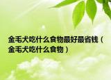 金毛犬吃什么食物最好最省钱（金毛犬吃什么食物）