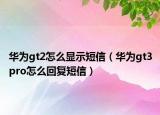 华为gt2怎么显示短信（华为gt3pro怎么回复短信）