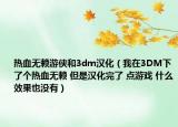 热血无赖游侠和3dm汉化（我在3DM下了个热血无赖 但是汉化完了 点游戏 什么效果也没有）