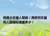 铁路火车撞人赔偿（高铁列车撞死人赔偿标准是多少）