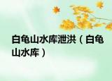 白龟山水库泄洪（白龟山水库）