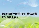polo领是什么样子的（什么叫做POLO领上衣）
