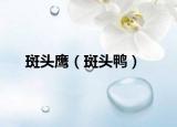 斑头鹰（斑头鸭）