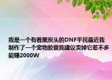 我是一个有着黑炭头的DNF平民最近我制作了一个宠物胶囊我建议卖掉它差不多能赚2000W