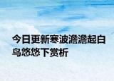 今日更新寒波澹澹起白鸟悠悠下赏析