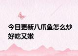 今日更新八爪鱼怎么炒好吃又嫩