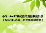 小米miui12关闭自动更新系统升级（MIUI11怎么开启系统自动更新）