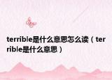 terrible是什么意思怎么读（terrible是什么意思）