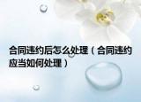合同违约后怎么处理（合同违约应当如何处理）