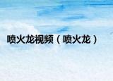 喷火龙视频（喷火龙）