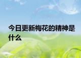 今日更新梅花的精神是什么