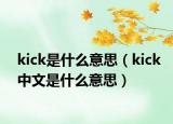 kick是什么意思（kick中文是什么意思）