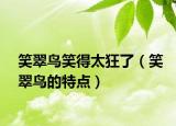 笑翠鸟笑得太狂了（笑翠鸟的特点）