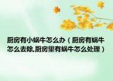 厨房有小蜗牛怎么办（厨房有蜗牛怎么去除,厨房里有蜗牛怎么处理）