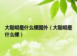 大聪明是什么梗国外（大聪明是什么梗）