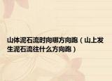 山体泥石流时向哪方向跑（山上发生泥石流往什么方向跑）