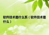 软件技术是什么系（软件技术是什么）