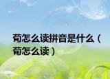 荀怎么读拼音是什么（荀怎么读）