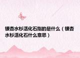 银杏水杉活化石指的是什么（银杏水杉活化石什么意思）