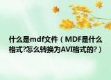 什么是mdf文件（MDF是什么格式?怎么转换为AVI格式的?）