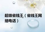 超级省钱王（省钱王网络电话）