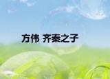 方伟 齐秦之子