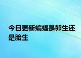 今日更新蝙蝠是卵生还是胎生