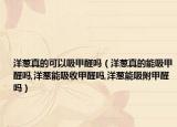 洋葱真的可以吸甲醛吗（洋葱真的能吸甲醛吗,洋葱能吸收甲醛吗,洋葱能吸附甲醛吗）