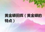 黄金蟒田辉（黄金蟒的特点）