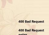 <html>
<head><title>400 Bad Request<title><head>
<body>
<center><h1>400 Bad Request<h1><center>
<hr><center>nginx<center>
<body>
<html>
