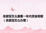余额宝怎么查看一年内资金明细（余额宝怎么办理）