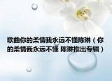 歌曲你的柔情我永远不懂陈琳（你的柔情我永远不懂 陈琳推出专辑）
