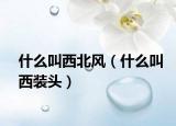 什么叫西北风（什么叫西装头）