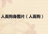 人面狗身图片（人面狗）