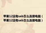 苹果12没有usb怎么连接电脑（苹果12没有usb怎么连接电脑）