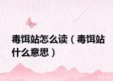 毒饵站怎么读（毒饵站什么意思）