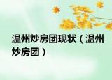 温州炒房团现状（温州炒房团）
