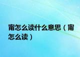 甯怎么读什么意思（甯怎么读）