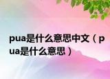 pua是什么意思中文（pua是什么意思）
