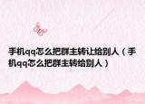 手机qq怎么把群主转让给别人（手机qq怎么把群主转给别人）