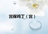 宫保鸡丁（宫）