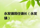 永发镇现任镇长（永发镇）