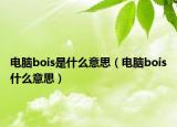 电脑bois是什么意思（电脑bois什么意思）