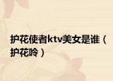 护花使者ktv美女是谁（护花呤）
