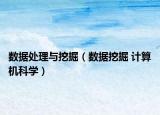数据处理与挖掘（数据挖掘 计算机科学）