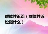 群体性诉讼（群体性诉讼指什么）