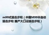 m99式狙击步枪（中国M99半自动狙击步枪 国产大口径狙击步枪）
