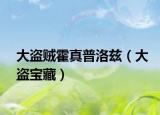 大盗贼霍真普洛兹（大盗宝藏）